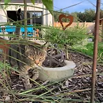 Bed & Breakfast Chez Isa Faymonville