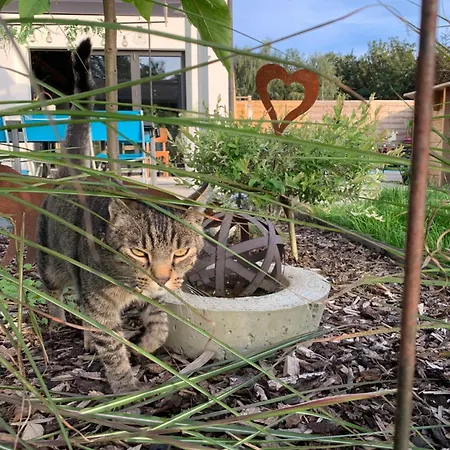 Frühstückspension Chez Isa Faymonville